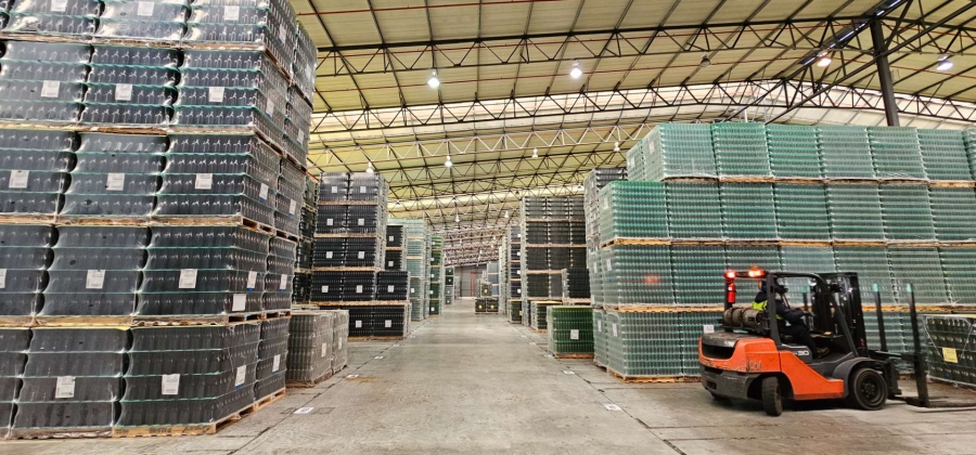 To Let commercial Property for Rent in Parow Industrial Western Cape